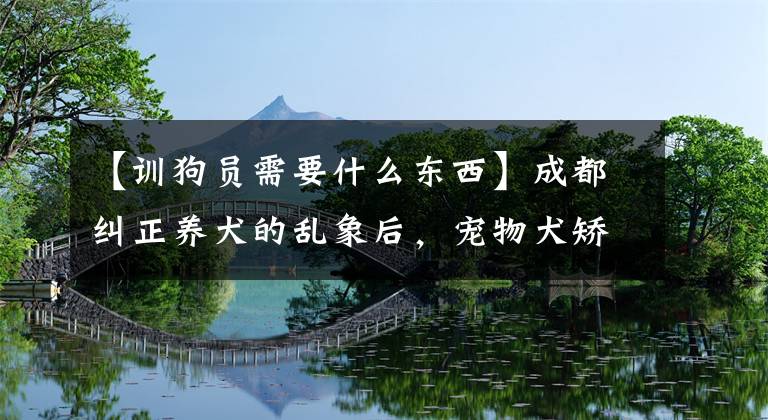 【訓狗員需要什么東西】成都糾正養(yǎng)犬的亂象后，寵物犬矯正訓練大受歡迎，但訓犬機構缺乏監(jiān)督。