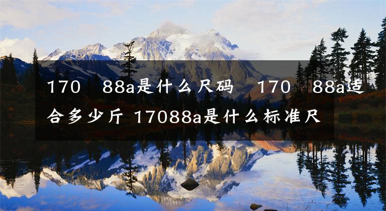 170?88a是什么尺碼?170?88a適合多少斤 17088a是什么標(biāo)準(zhǔn)尺碼