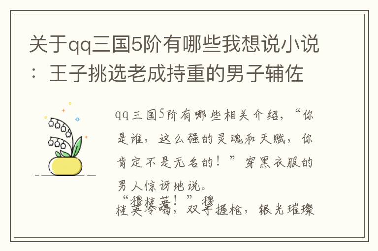 關(guān)于qq三國5階有哪些我想說小說：王子挑選老成持重的男子輔佐，放棄了武功高強(qiáng)的大美女