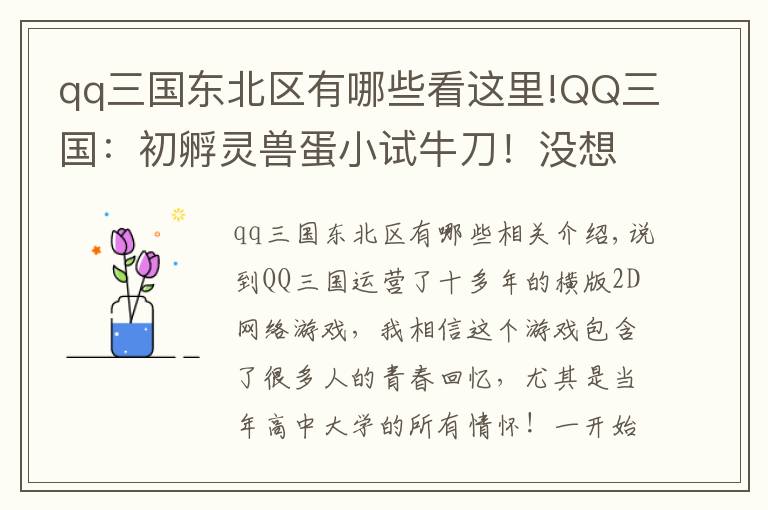 qq三國(guó)東北區(qū)有哪些看這里!QQ三國(guó)：初孵靈獸蛋小試牛刀！沒想到蹦了個(gè)地品出來(lái)