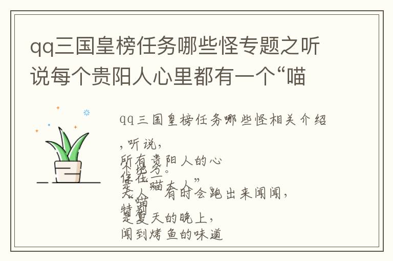 qq三國皇榜任務(wù)哪些怪專題之聽說每個貴陽人心里都有一個“喵大人”