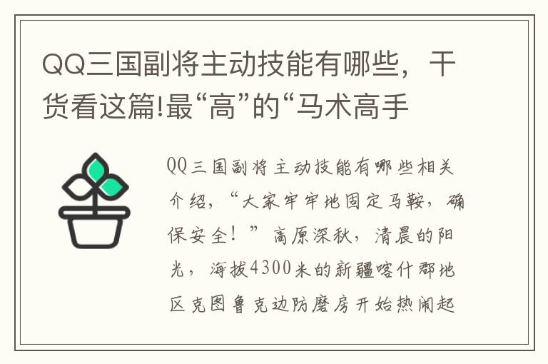 QQ三國副將主動技能有哪些，干貨看這篇!最“高”的“馬術(shù)高手”，策馬守邊在云端