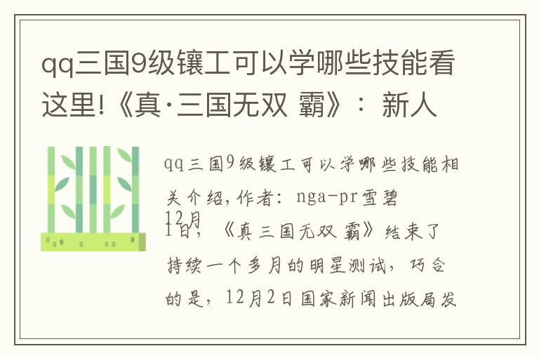 qq三國9級鑲工可以學哪些技能看這里!《真·三國無雙 霸》：新人迅速上手指南