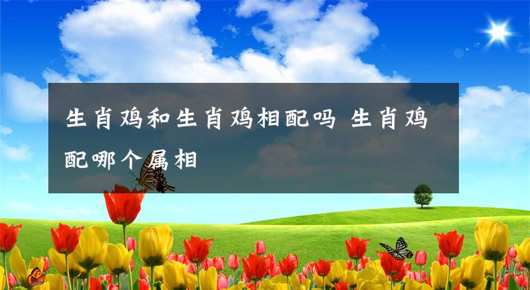 生肖雞和生肖雞相配嗎 生肖雞配哪個屬相