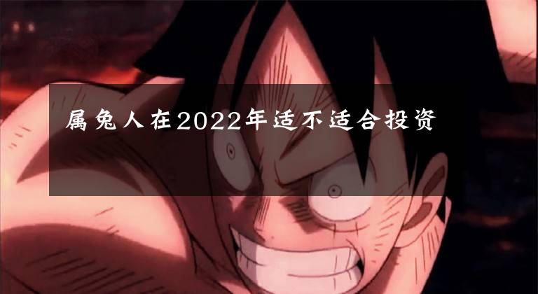 屬兔人在2022年適不適合投資