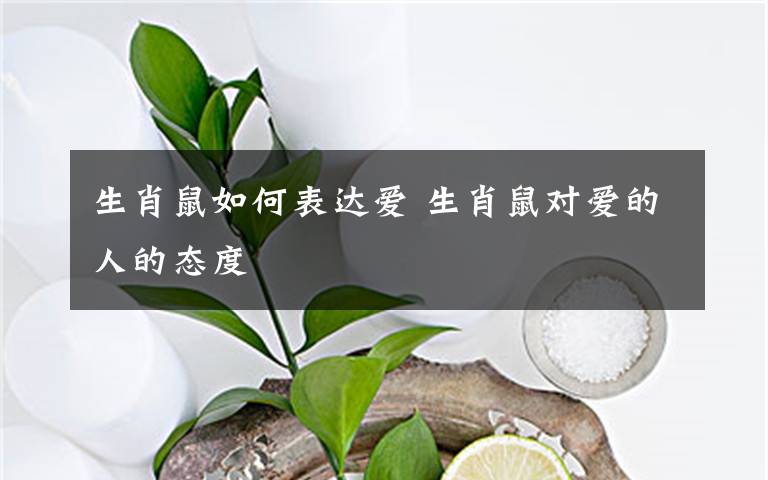 生肖鼠如何表達(dá)愛(ài) 生肖鼠對(duì)愛(ài)的人的態(tài)度