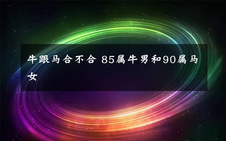 牛跟馬合不合 85屬牛男和90屬馬女