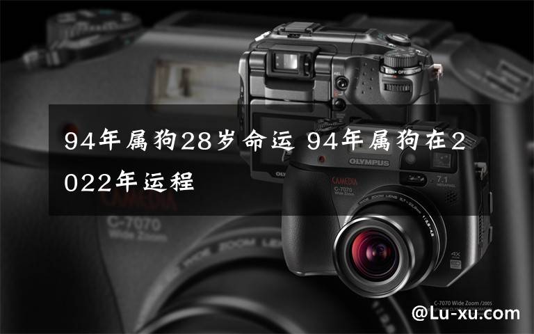 94年屬狗28歲命運(yùn) 94年屬狗在2022年運(yùn)程