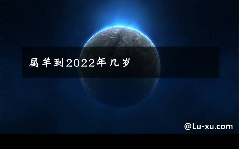 屬羊到2022年幾歲