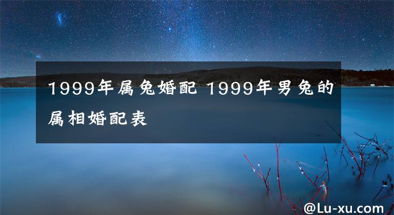 1999年屬兔婚配 1999年男兔的屬相婚配表