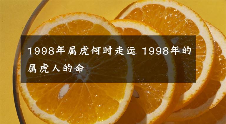 1998年屬虎何時(shí)走運(yùn) 1998年的屬虎人的命