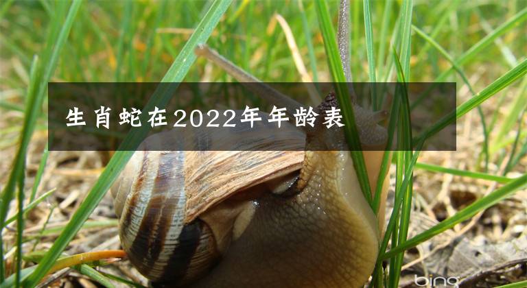 生肖蛇在2022年年齡表