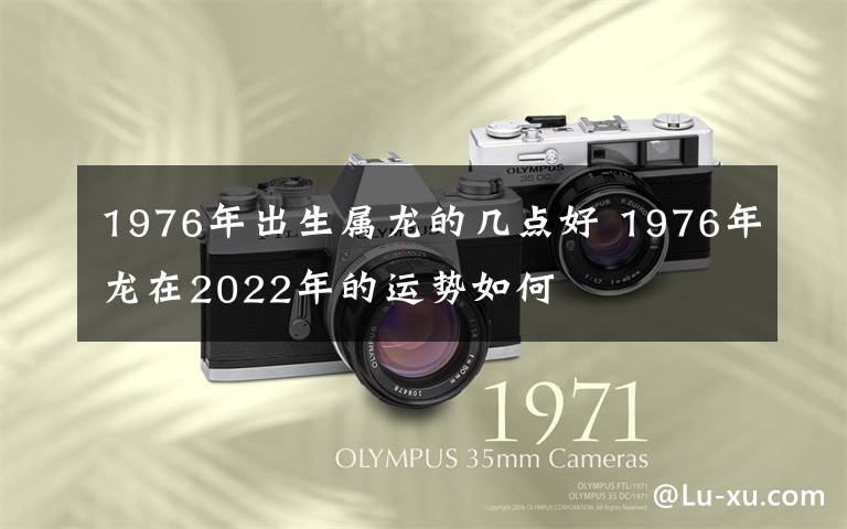 1976年出生屬龍的幾點好 1976年龍在2022年的運勢如何