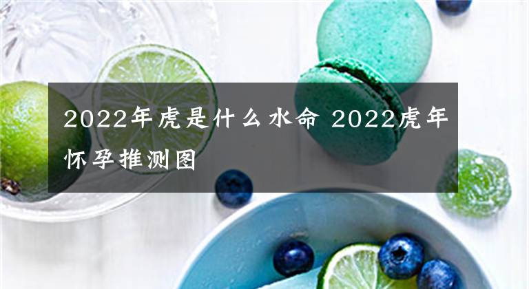 2022年虎是什么水命 2022虎年懷孕推測(cè)圖