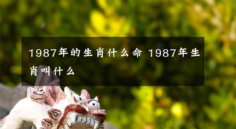 1987年的生肖什么命 1987年生肖叫什么