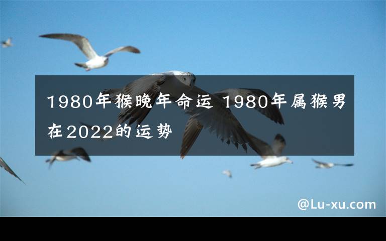 1980年猴晚年命運(yùn) 1980年屬猴男在2022的運(yùn)勢