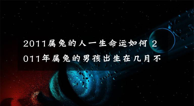 2011屬兔的人一生命運如何 2011年屬兔的男孩出生在幾月不好