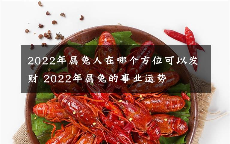 2022年屬兔人在哪個(gè)方位可以發(fā)財(cái) 2022年屬兔的事業(yè)運(yùn)勢(shì)