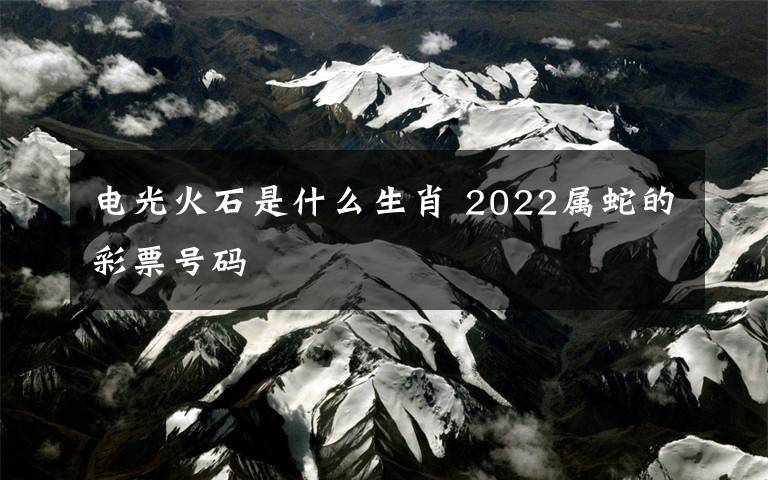 電光火石是什么生肖 2022屬蛇的彩票號(hào)碼