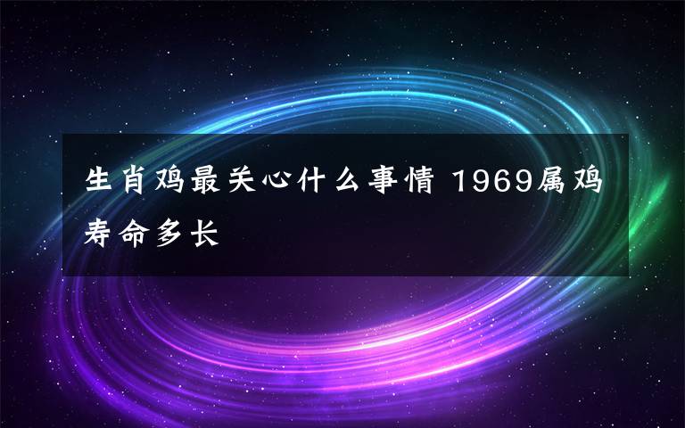 生肖雞最關心什么事情 1969屬雞壽命多長