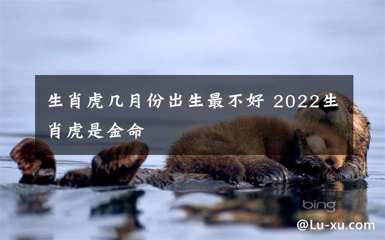 生肖虎幾月份出生最不好 2022生肖虎是金命