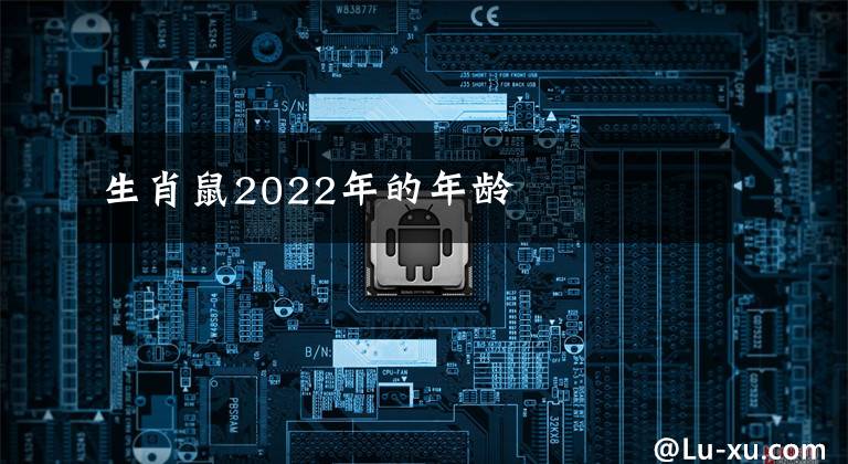 生肖鼠2022年的年齡