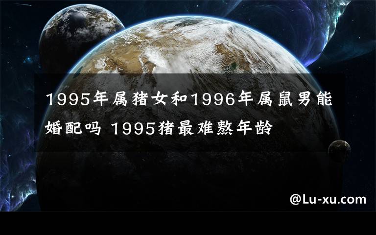 1995年屬豬女和1996年屬鼠男能婚配嗎 1995豬最難熬年齡