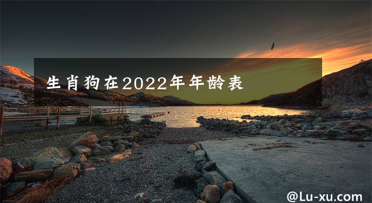 生肖狗在2022年年齡表