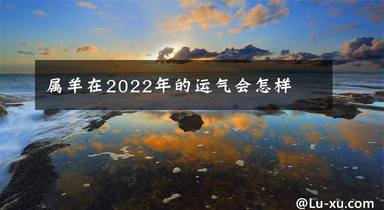 屬羊在2022年的運氣會怎樣