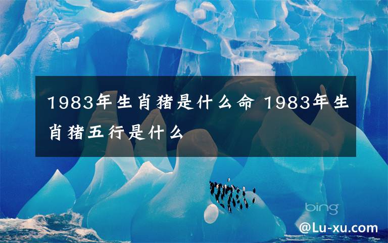 1983年生肖豬是什么命 1983年生肖豬五行是什么