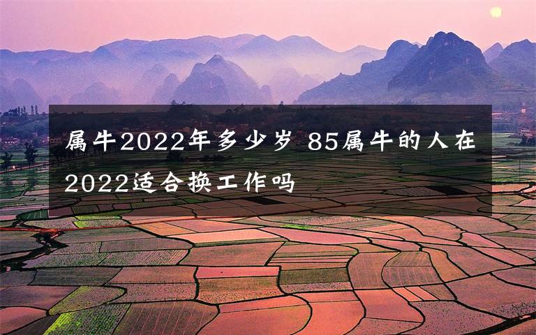 屬牛2022年多少歲 85屬牛的人在2022適合換工作嗎