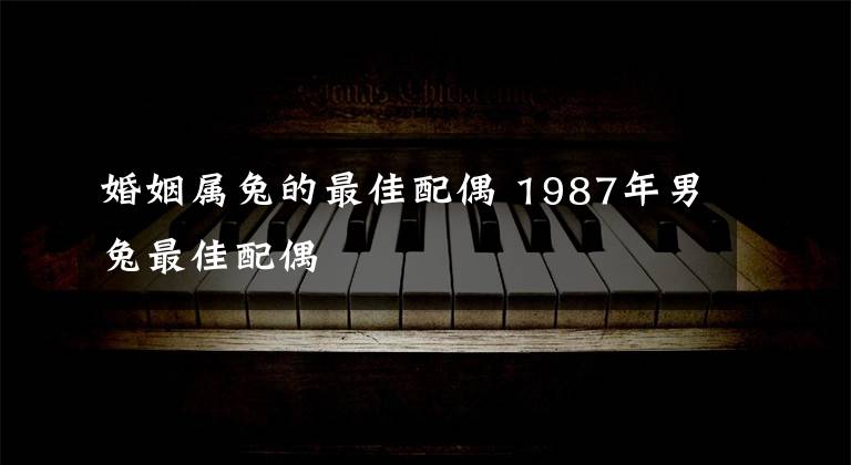 婚姻屬兔的最佳配偶 1987年男兔最佳配偶