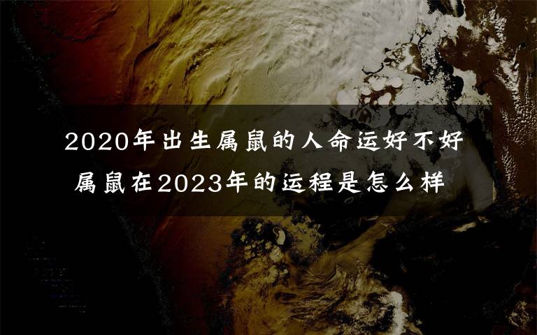 2020年出生屬鼠的人命運(yùn)好不好 屬鼠在2023年的運(yùn)程是怎么樣