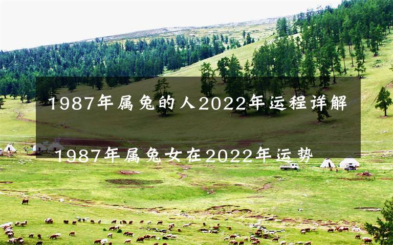 1987年屬兔的人2022年運(yùn)程詳解
 1987年屬兔女在2022年運(yùn)勢(shì)