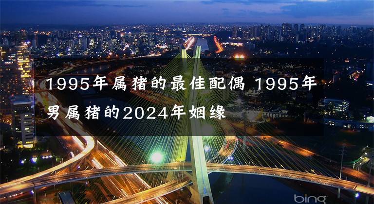 1995年屬豬的最佳配偶 1995年男屬豬的2024年姻緣