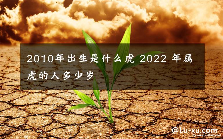 2010年出生是什么虎 2022 年屬虎的人多少歲