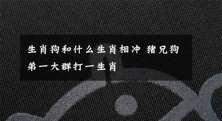 生肖狗和什么生肖相沖 豬兄狗弟一大群打一生肖