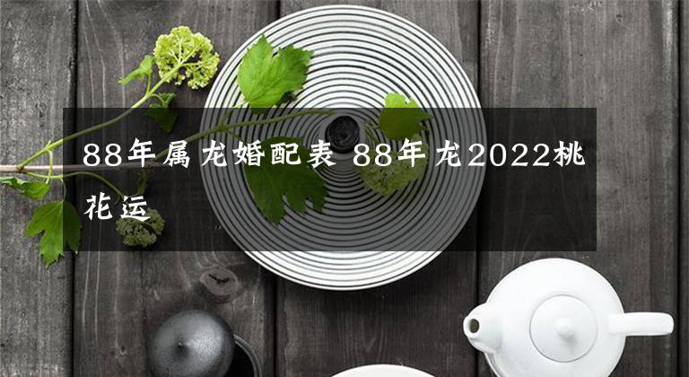 88年屬龍婚配表 88年龍2022桃花運(yùn)