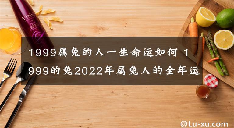 1999屬兔的人一生命運如何 1999的兔2022年屬兔人的全年運勢