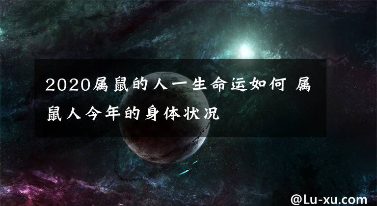 2020屬鼠的人一生命運如何 屬鼠人今年的身體狀況