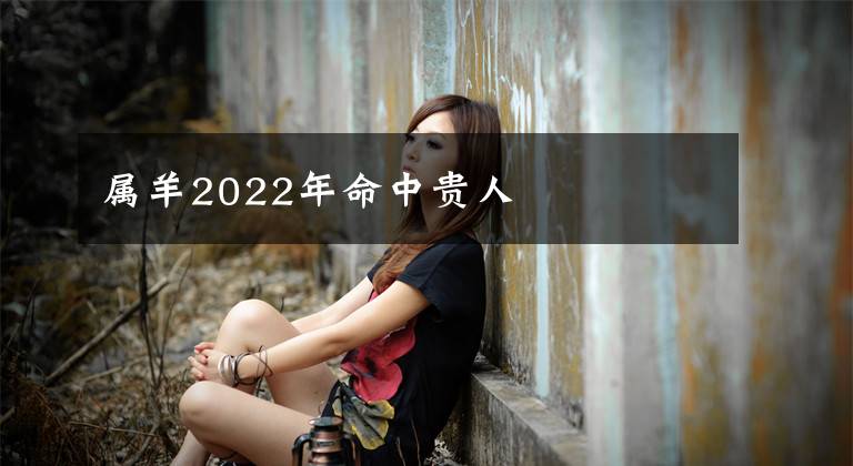 屬羊2022年命中貴人