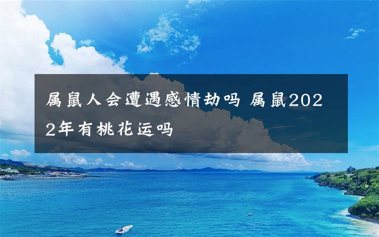 屬鼠人會(huì)遭遇感情劫嗎 屬鼠2022年有桃花運(yùn)嗎