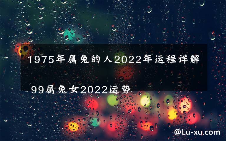 1975年屬兔的人2022年運(yùn)程詳解 99屬兔女2022運(yùn)勢(shì)