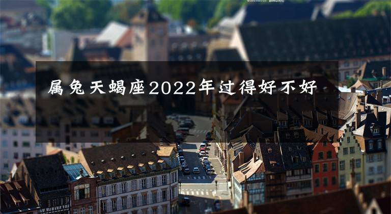 屬兔天蝎座2022年過得好不好