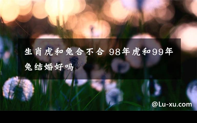 生肖虎和兔合不合 98年虎和99年兔結(jié)婚好嗎