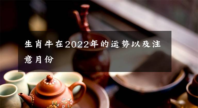 生肖牛在2022年的運(yùn)勢(shì)以及注意月份