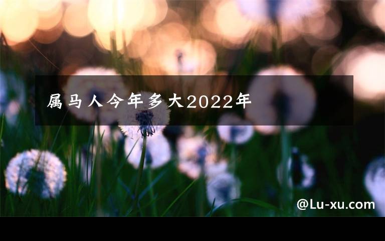 屬馬人今年多大2022年