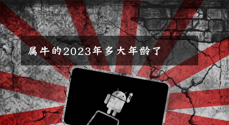 屬牛的2023年多大年齡了