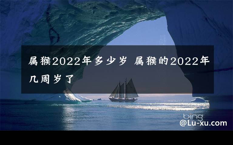 屬猴2022年多少歲 屬猴的2022年幾周歲了