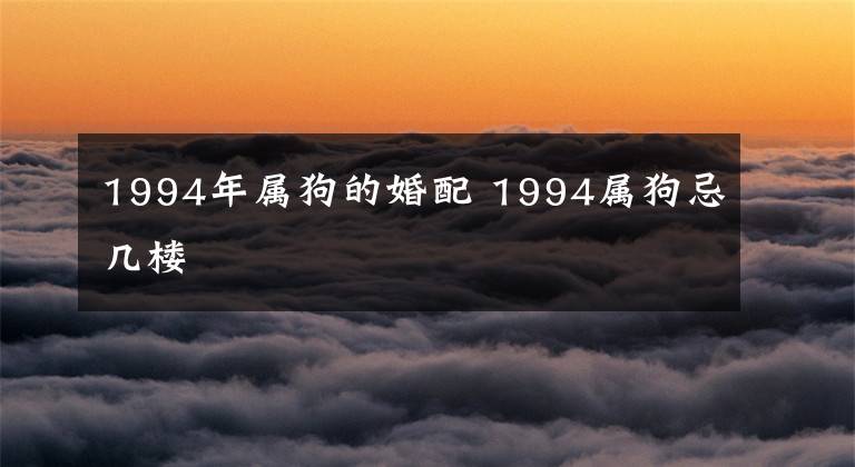 1994年屬狗的婚配 1994屬狗忌幾樓